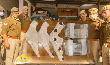 पुलिस ने 3 भैसो को पकड़ 70 हजार रुपये किये बरामद