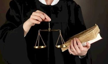 अधिवक्ताओं की हड़ताल पर हाईकोर्ट का सख्त एक्शन , कार्यकारिणी पर लगाया प्रतिबंध।